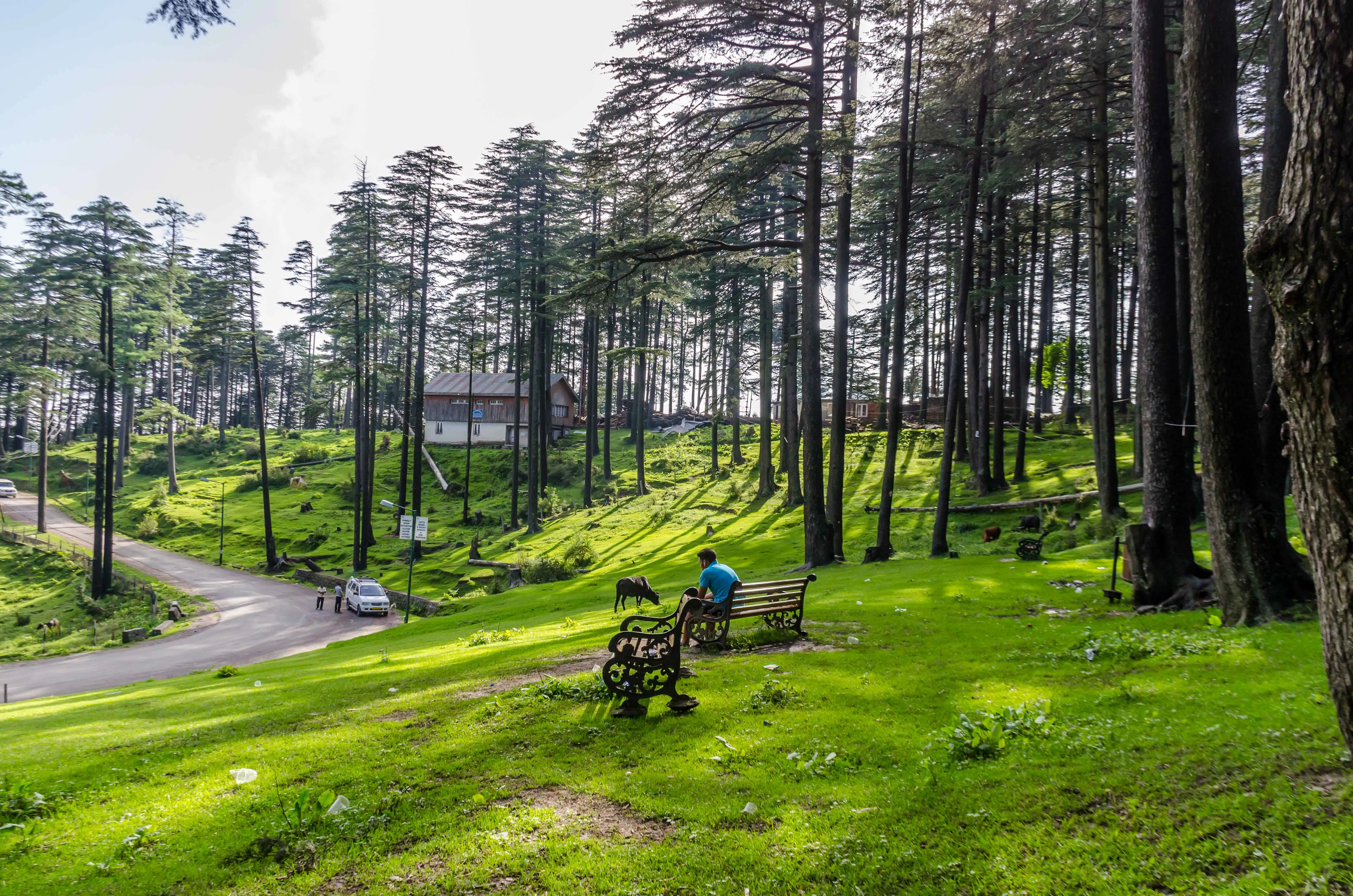 vaishnodevi-patnitop tour
