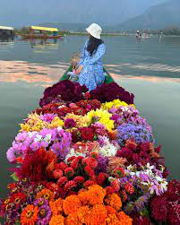 Srinagar tour packages