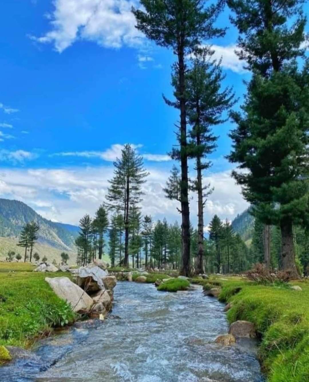 pahalgam-trip-packages